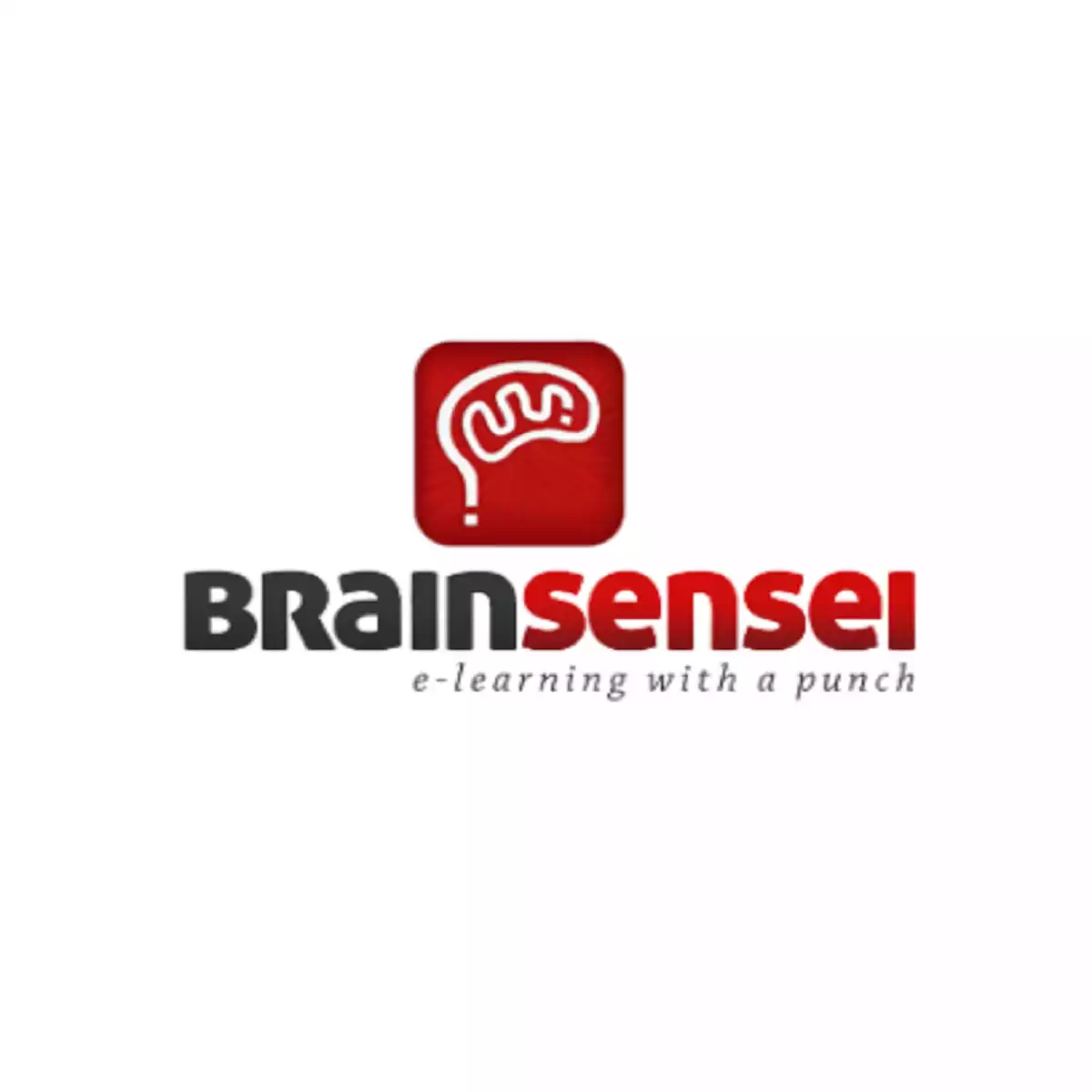PMP® Exam Prep Complete Course (Self-Paced) - Brain Sensei